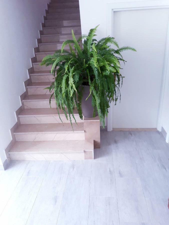 Apartmani I Soba Andrijasevic Makarska Exterior foto
